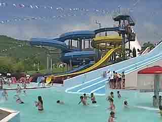 صور «Dolphin» aquapark تسلية